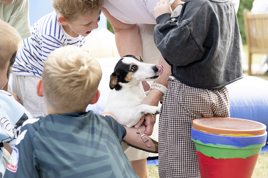 Ein kleiner Hund befindest sich zwischen einer Gruppe von Kindern